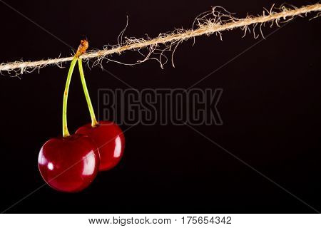 Red Cherry and rope on black with clamp fruit concept - desert, food