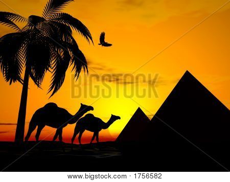 Desert Egypti Sunset
