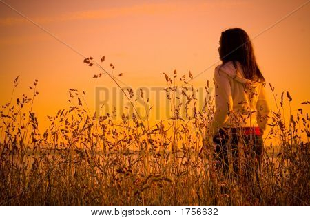 Evening_Walk