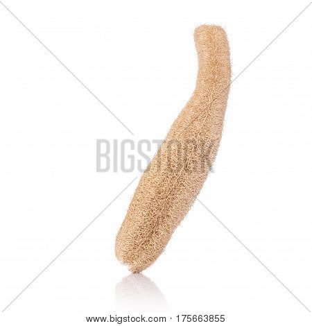 Dry Luffa, Luffa Sponge. Studio Shot Isolated On White