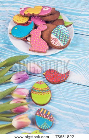 Composition of tulips and gingerbread cookies on white and blue wooden background for Happy Easter.