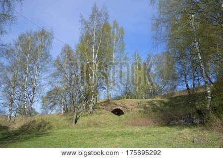 On the ruins of the Russian fortress in the city of Vysotsk, Russia