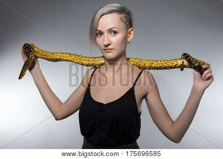 Woman stretching yellow snake on gray background