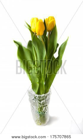 Yellow tulips (Tulipa fosteriana) in a vase. Spring flowers. The symbol of spring.