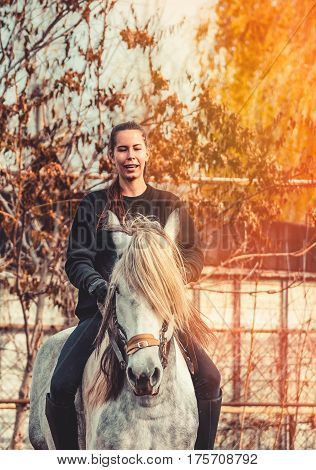 Young beautiful brunette girl rides a horse bareback with hackamore. Warm and sunny autumn day. Portrait of a pretty young woman on the horse, wearing tall boots and gloves.