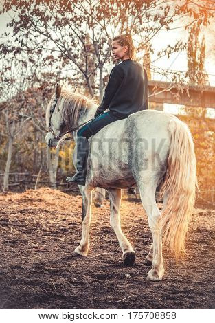 Young beautiful brunette girl rides a horse bareback with hackamore. Warm and sunny autumn day. Portrait of a pretty young woman on the horse, wearing tall boots and gloves.