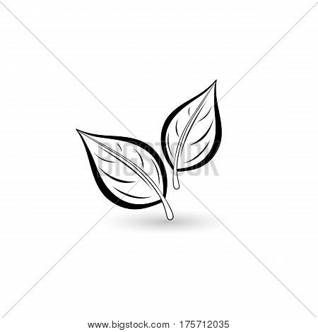 Isolated black leaf. Element for design. Illustration.
