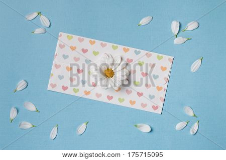 Spring top view composition: scattered petals around white flower with yellow heart white envelope with pattern of hearts. Sky blue background with copy space for text. Flat lay.