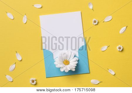 Spring or summer background with copy space for text: blank stationary template / invitation mockup in cyan envelope with butterfly white flower with yellow heart chamomiles and petals. Top view. Flat lay.