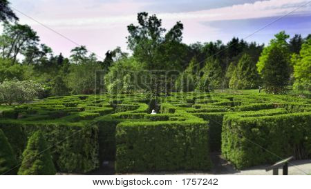 Labyrinth