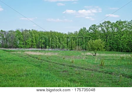 The long ago abandoned agricultural land on which once there was a settlement