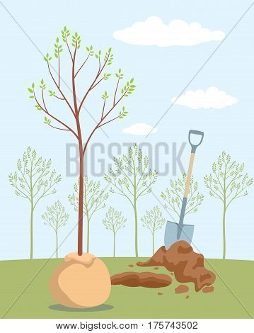 Planting tree. Save trees - day of forests. Orchard planting