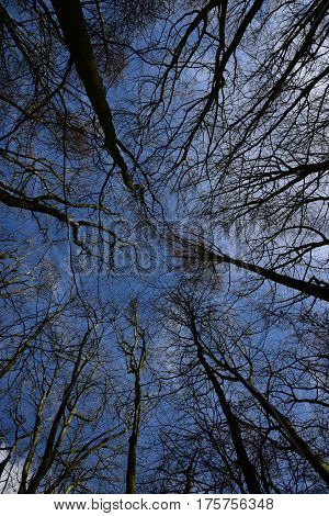 Sky view in Newmillerdam Park and Lake area near Wakefield England