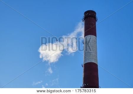 the thick smoke belching from factory chimneys