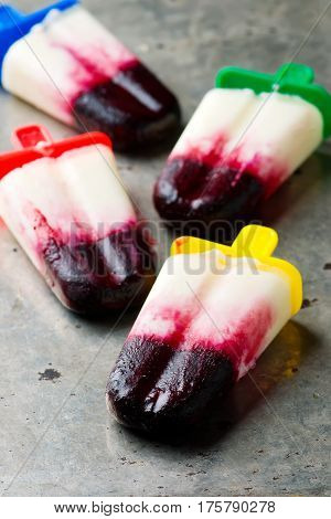 berry frozen jogurt  on metalic background.  selective focus