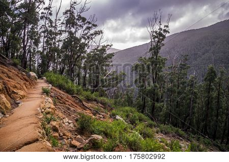 Hiking Trail in the Wilsons Promontory National Park, Victoria, Australia