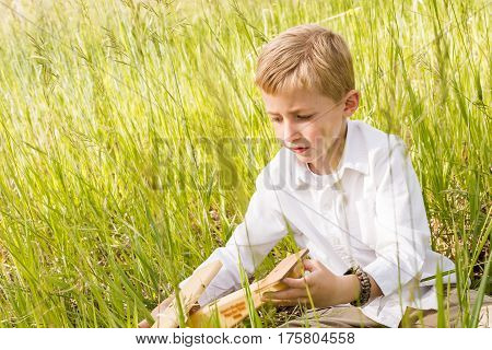 Family Picnic