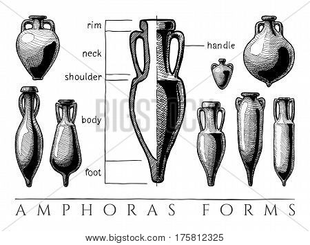 Vases shapes. Vector hand drawn illustration of amphoras and amphoriskos forms set. Parts of typical ancient amphora infographics.