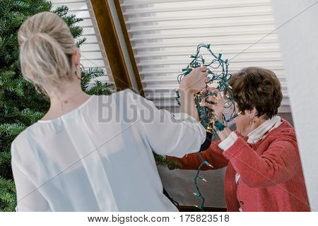 Family decorating beautiful live Christmas tree .
