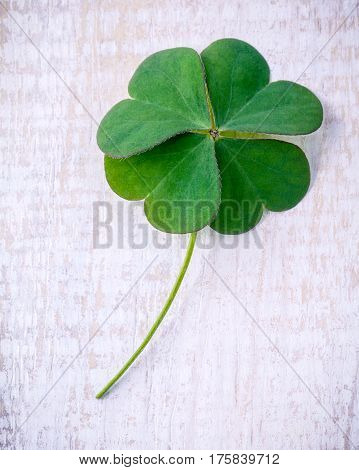 Clover Leaves On Shabby Wooden Background. The Symbolic Of Four Leaf Clover The First Is For Faith,