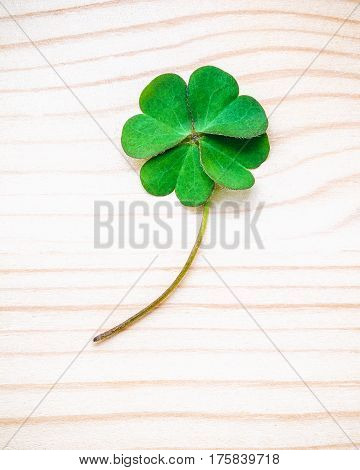 Clover Leaves On Shabby Wooden Background. The Symbolic Of Four Leaf Clover The First Is For Faith,