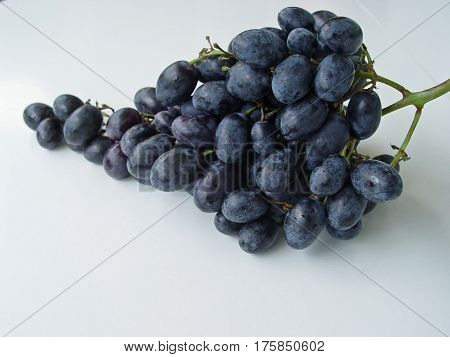 black grapes fruit in white background closeup