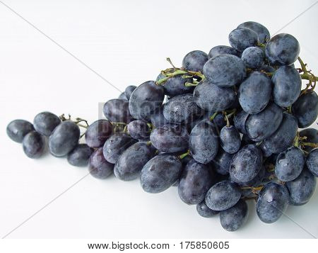 black grapes fruit in white background closeup