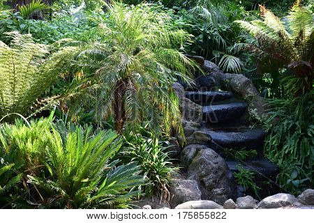 background lush tropical garden with green ferns and stone waterfall