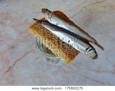 A bread, spicy salting anchovy  and a glass of vodka. Closeup. Gorgeous home appetizer under a glass of vodka. Natural food. Traditional Dishes of Russian Cuisine.