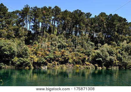 Huka Falls Walk