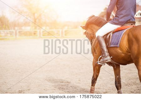 Young horseback rider on field with copy space aside. Equestrian competition concept background