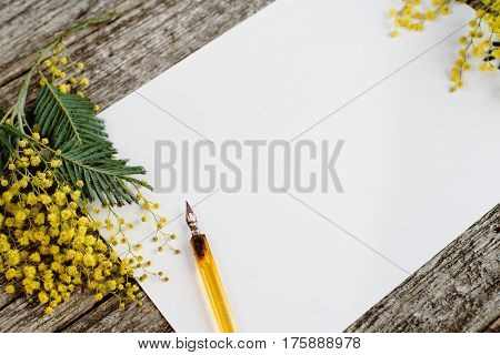 White paper mock up with yellow flowers mimosas and vintage pen ink on grey wooden background. Overhead view. Flat lay, top view, moke up
