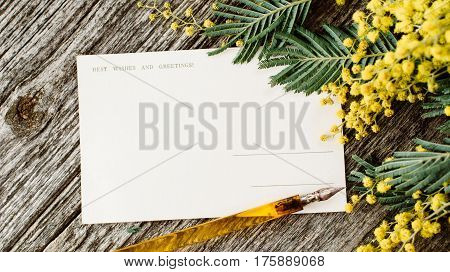 Vintage post cards mock up with yellow flowers mimosas and vintage pen ink on grey wooden background. Overhead view. Flat lay, top view, moke up