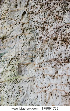 Sietiniezis - the largest white sandstone outcrop in the Baltics