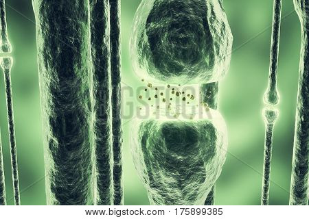 Synaptic transmission, human nervous system, 3d rendering