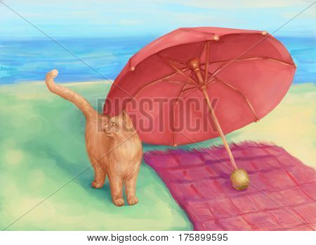Ginger cat and red umbrella in sunny day on the sea