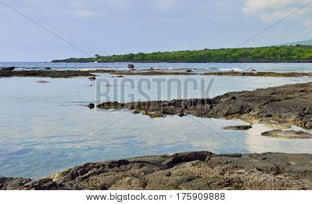Lava Shoreline At The Puuhonua O Honaunau Place Of Refuge National Park, Hawaii