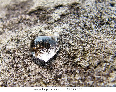 Uma gota de âmbar