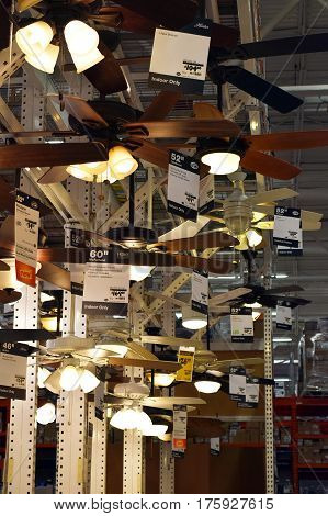 Light And Ceiling Fan Display
