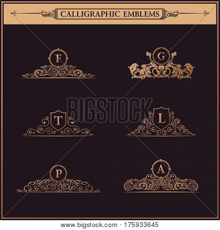 Luxury logo monogram. Vintage royal flourishes elements. Calligraphic symbol ornament. Letter in frame F, G, T, L, P, A. Design luxury set. raster pattern flourishes emblem