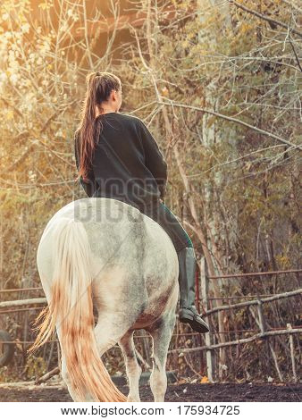Young beautiful brunette girl rides a horse bareback with hackamore. Warm and sunny autumn day. Portrait of a pretty young woman on the horse, wearing tall boots and gloves.