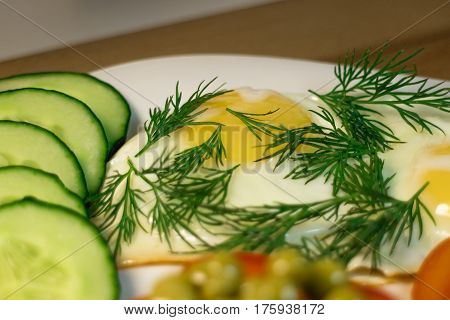 Fried egg. Example serving dill and slices cucumber on a white plate close-up.