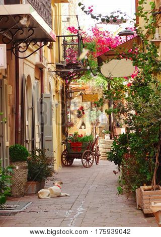traditional street and houses architecture detail in Greece