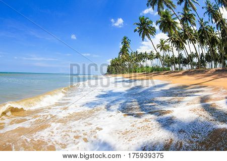 Tropical beach in Sri Lanka. Indian ocean