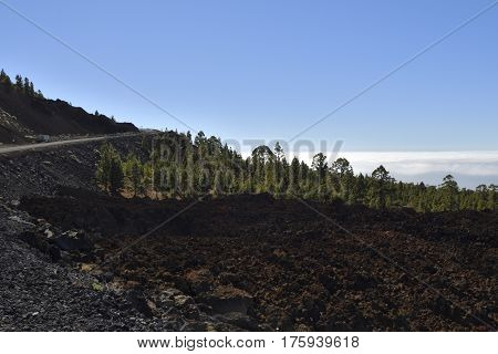 Lava stream from the latest outbreak and road and forest in the background with blue sky and clouds picture from Tenerife Spain.