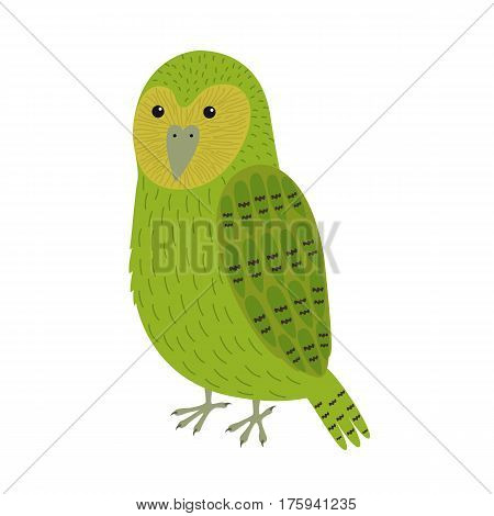 kakapo bird vector illustration for children isolated on white background