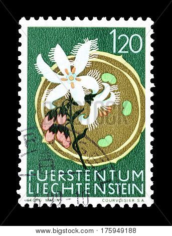 LIECHTENSTEIN - CIRCA 1970 :  Cancelled postage stamp printed by Liechtenstein, that shows Bogbean.