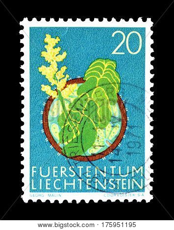 LIECHTENSTEIN - CIRCA 1971 :  Cancelled postage stamp printed by Liechtenstein, that shows Moonwort.