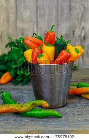 Assorted Peppers And Chilies In A Metal Bucket With Water Droplets Vertical Format