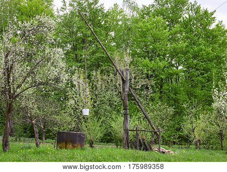 Working old wooden shadoof in green forest